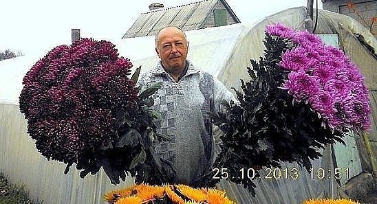 Сам вырастил! Оцените!