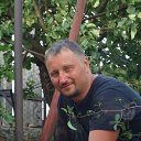  Alex, , 50  -  1  2016    