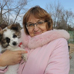 ���, ��������, 61 ���