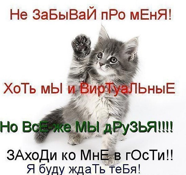 *** ***