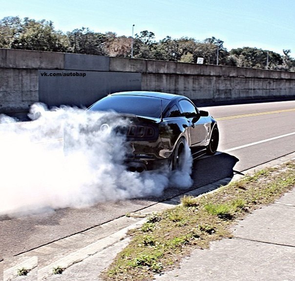 Shelby GT500. - 6