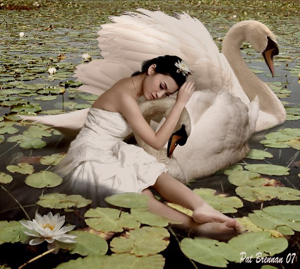   - 9  2016  23:14 - 4