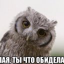 ���� ������, ������������, 32 ���� - ��������� 10 ������ 2016 � ������ �Xxx�