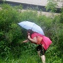 ���� ������, ������, 43 ���� - ��������� 18 ������ 2016 � ������ ���� ����������