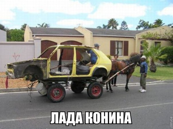    :D - 17  2016  05:07