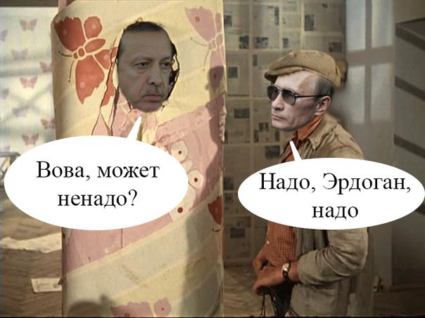 -       -24.-     .  ...