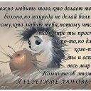  , , 68  -  4  2016    