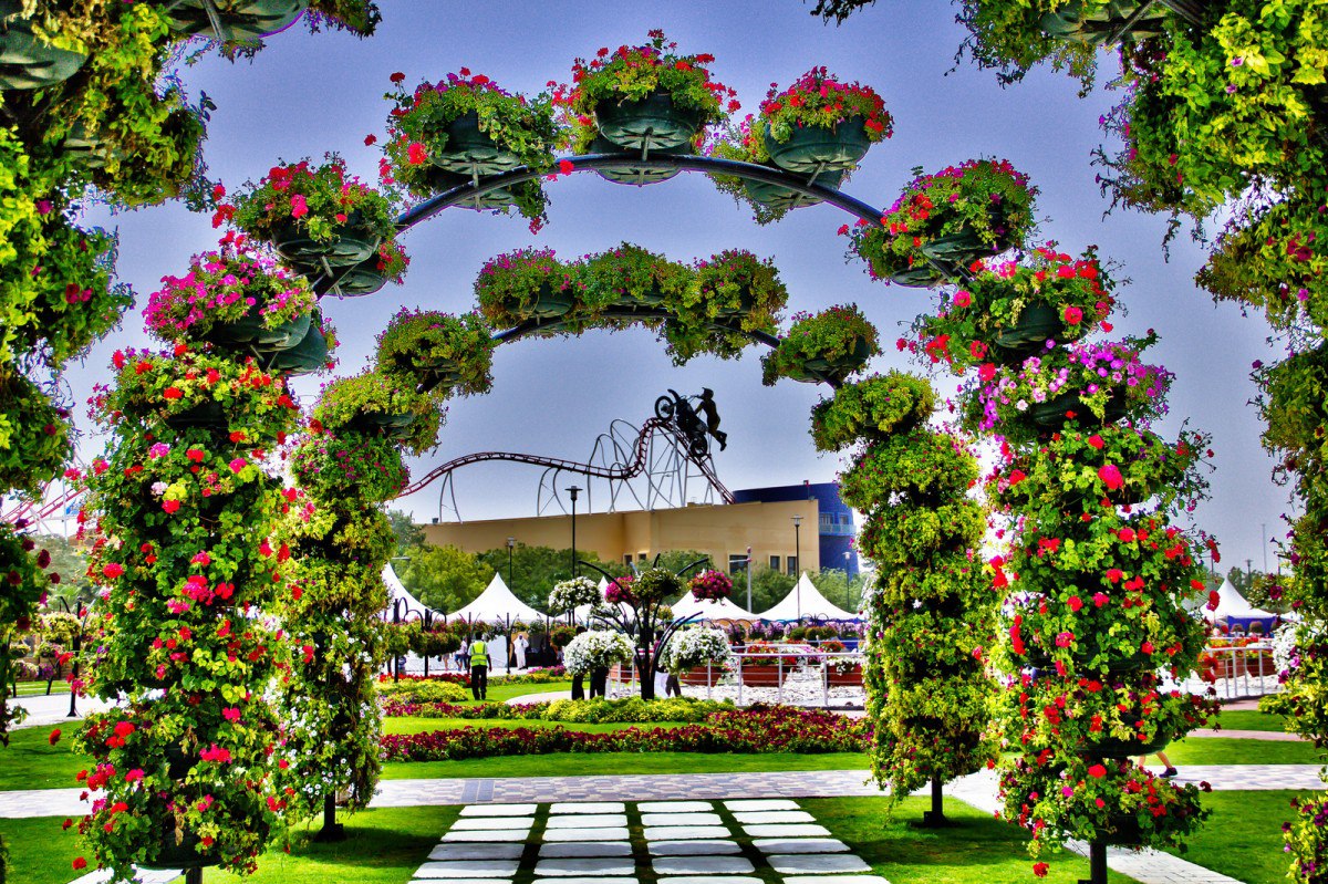 Видео сада с цветами. Миракл Гарден парк цветов Дубай. Дубайская арка парк. Розарий в Дубае. Вертикальное Озеленение Берсо.