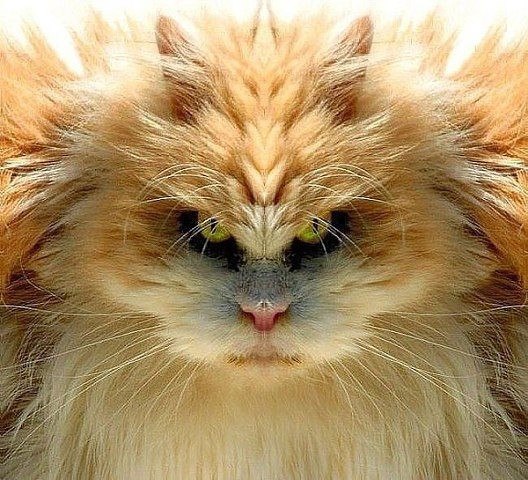 ���� ��������� � ������������� ��������...))))))))))))))))))