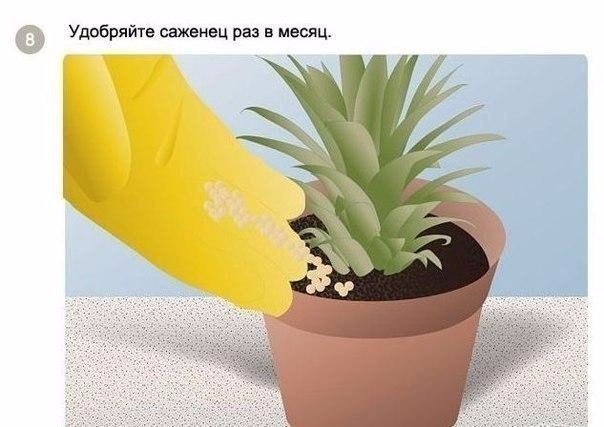 ��� ��������� ������ � �������� ��������? - 8