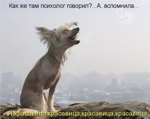 ***Victoria Viktorovna*** - 20  2016  12:58
