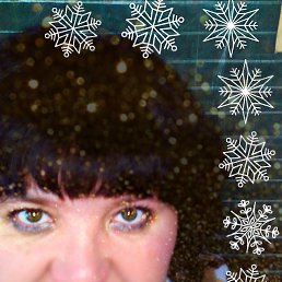 ���� ������, ���� - ��������� 11 ������ 2016