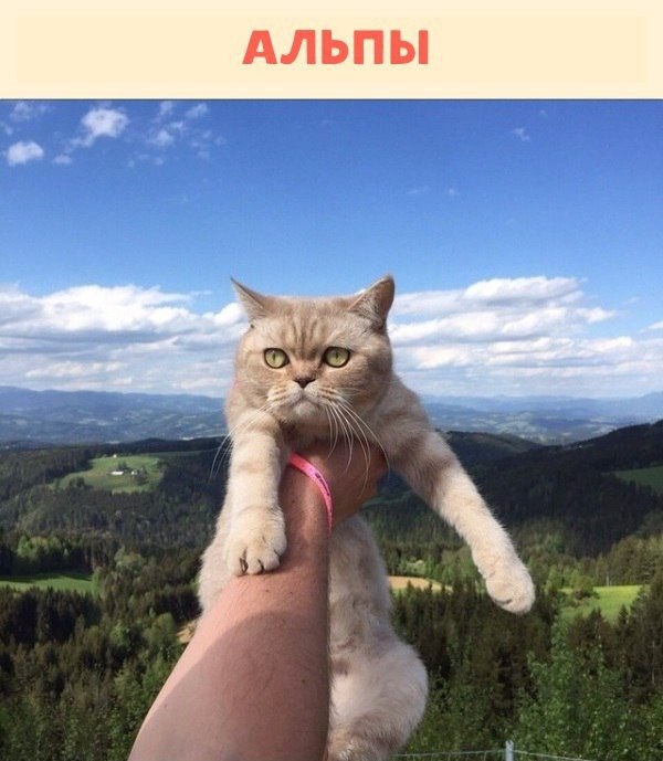      .   ! #animal@travel.blog - 5