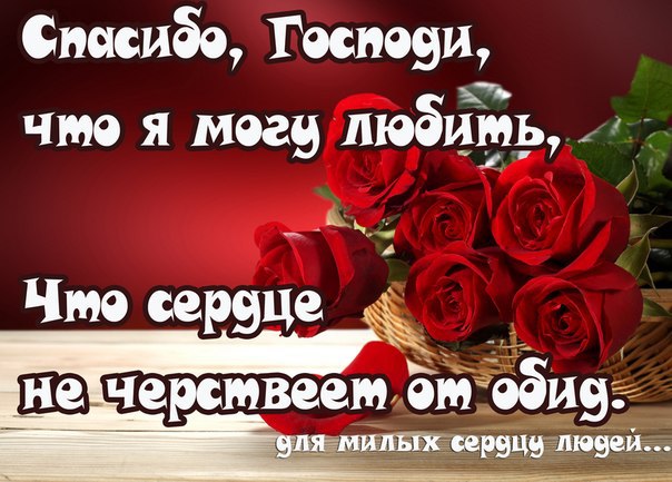 ~Dasha~ - 24  2015  05:45
