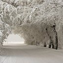 ���� ����, ������, 54 ���� - ��������� 25 ������ 2016 � ������ ��������