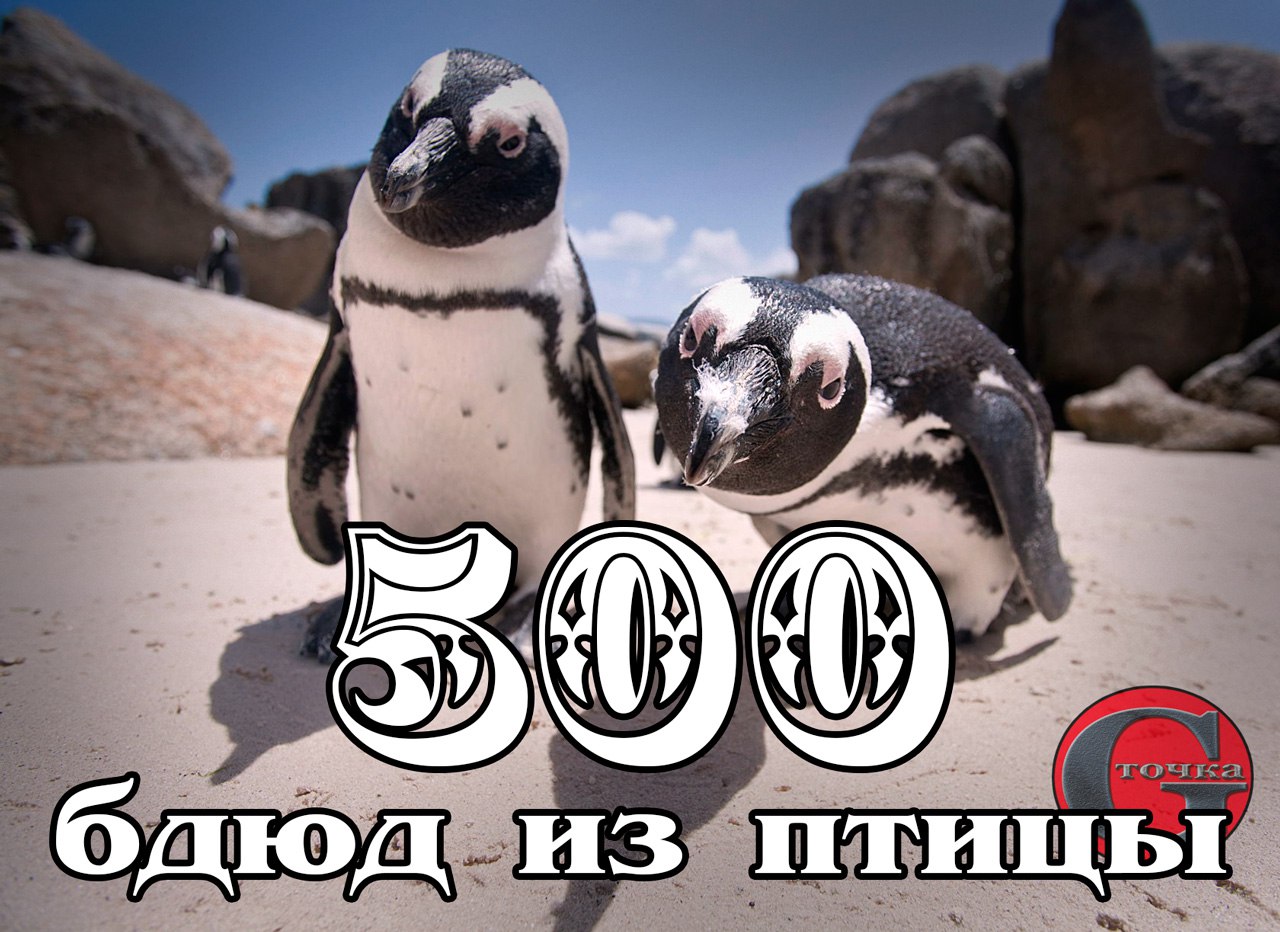 G-����� - 17 ������ 2016 � 22:22