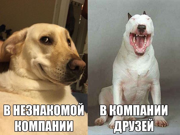   :
