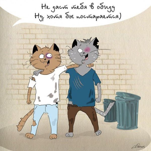     ,     , ,      ,  ... - 10