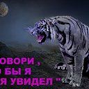  , --, 64  -  11  2015    
