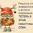 ���� �������, �������, 72 ���� - ��������� 29 ������� 2016 � ������ ������ ��������