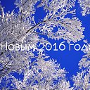 ���� ����, �����-��������� - ��������� 31 ������� 2015 � ������ ������ ��������