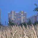 ���� ��������, ��������, 61 ��� - ��������� 24 ������ 2016