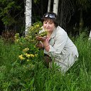 ���� ��������, �����������, 57 ��� - ��������� 12 ������ 2015 � ������ ���� ����������