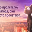 ���� �������, ���������, 47 ��� - ��������� 24 ������� 2016 � ������ ������ ��������