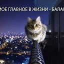 ���� �����, �����-���������, 47 ��� - ��������� 22 ������ 2016 � ������ ���� ����������