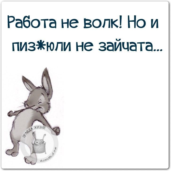 Работа не волк. Работа не волк прикол. Афоризмы работа не волк. Работа не волк картинки.