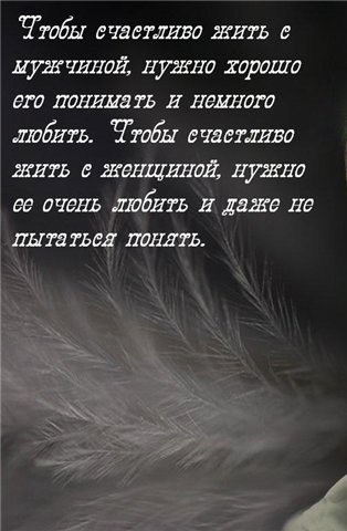    - 5  2015  10:38