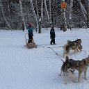  , , 69  -  8  2016   .  