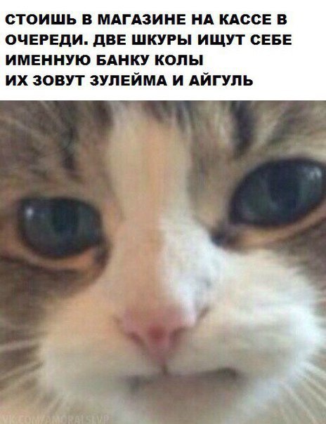 - 10  2015  16:20