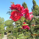 ���� Tomusya, ������ �����, 70 ��� - ��������� 25 �������� 2015 � ������ ���� ������� ����������