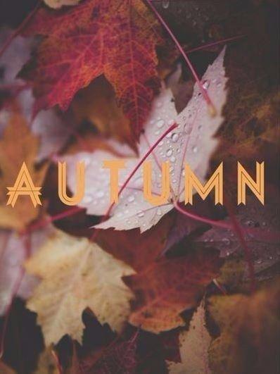 ...����� ��� ����� �������� ��� � ������� - 2