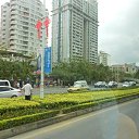  , -, 42  -  2  2015   , 2013 (.)