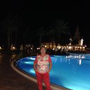 ������ 2015 �� ������� ������ ������-������� 2022 ����������