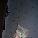 ���� �����, �����, 45 ��� - ��������� 13 ������� 2015 � ������ ���� ����������