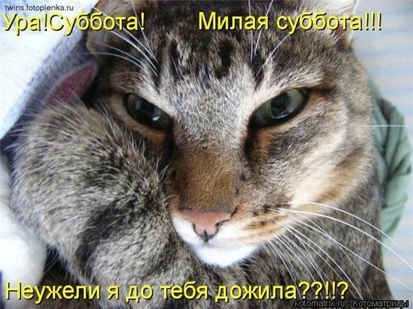 Лариса Плотицына Плотицына - 5 марта 2016 в 12:44