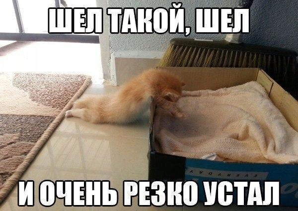    - 5  2016  20:16