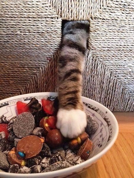 -,   .#@cooklove - 3