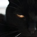  , -, 45  -  25  2015    