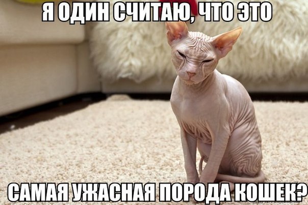   - 2  2016  10:15