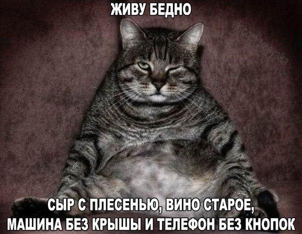 �������� ���� - 3 ������ 2016 � 12:04