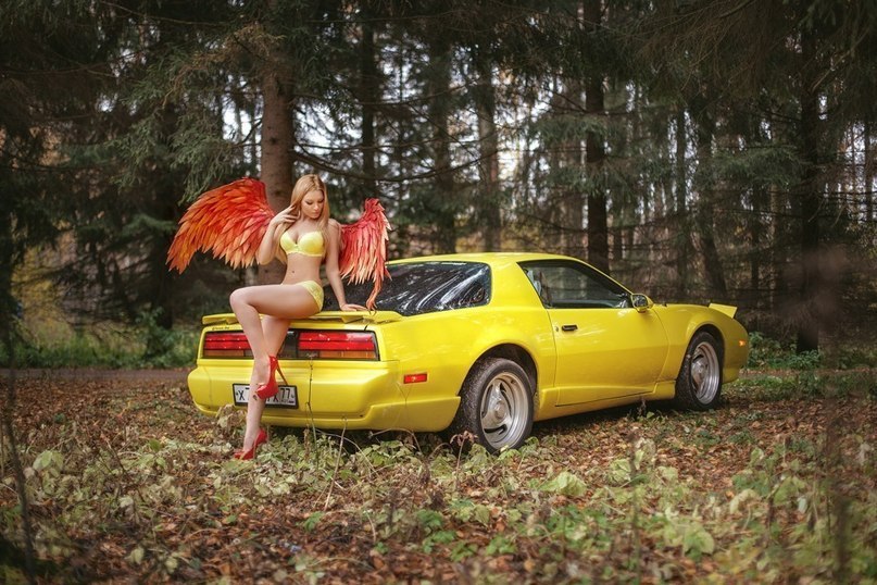 Pontiac Firebird. - 3