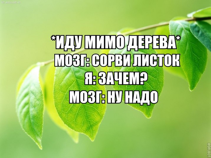   - 22  2015  11:30