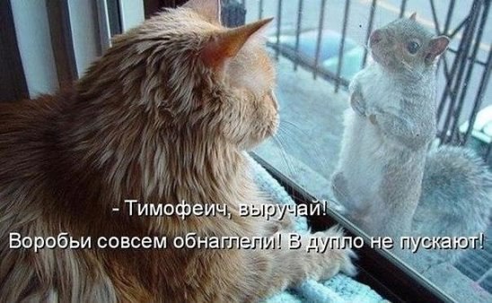 ***Victoria Viktorovna*** - 8  2016  17:12