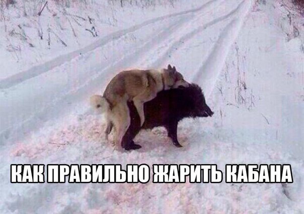   - 8  2016  20:51