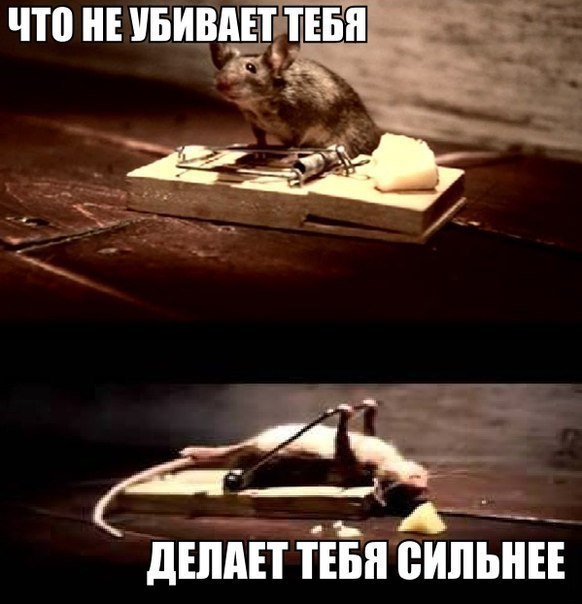   - 16  2016  22:34