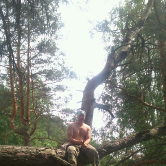 ����� ������� - 5 ������ 2016 � 14:50